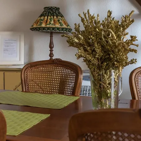 Petit Paradis Nemausus Appartement