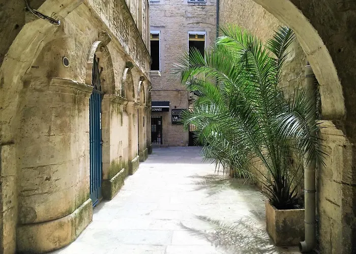 Petit Paradis Nemausus